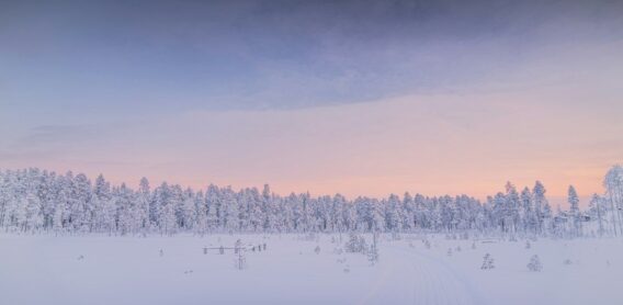 Snow-covered forest and trail beneath a pale pink winter sky